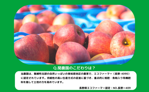 ジャム 信州産 ブルーベリージャム ( プレザーブスタイル ) 200g × 3個 関農園 沖縄県への配送不可 エコファーマー認定 ブルーベリー 長野県 飯綱町 [1248]