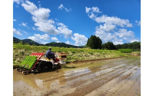 【令和6年度産】【数量限定】新潟県岩船産 こしひかり 辰次郎のお米 精米 5kg×1袋　1072001