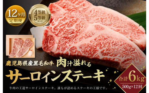 【12ヶ月定期便】鹿児島県産黒毛和牛 肉汁溢れるサーロインステーキ