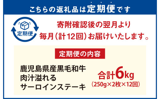 【12ヶ月定期便】鹿児島県産黒毛和牛 肉汁溢れるサーロインステーキ