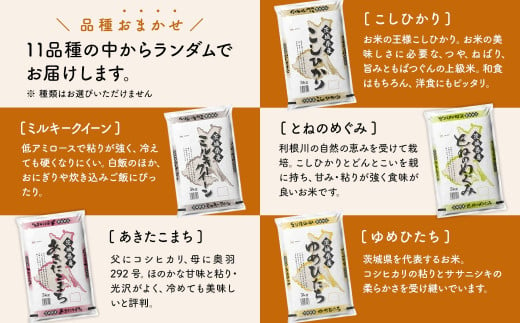 K2457 ＜2025年2月内発送＞ 令和6年産 お米2種食べ比べ 10kg(5kg×2袋)  茨城県産