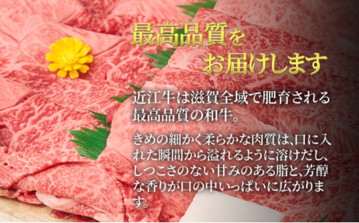 牛肉 近江牛 霜降り薄切り 800g 肉 お肉 牛 赤身 霜降り 近江 和牛 ブランド牛 プレゼント お取り寄せ 日野町 滋賀県