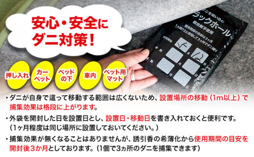 ダニ 対策 ダニ取り パック ブラックホール 10個 石崎資材株式会社《30日以内に出荷予定(土日祝除く)》 大阪府 羽曳野市 虫 捕集 ダニ シート 特許 ダニ対策 押し入れ カーペット ベッド