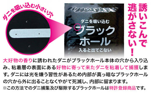 ダニ 対策 ダニ取り パック ブラックホール 10個 石崎資材株式会社《30日以内に出荷予定(土日祝除く)》 大阪府 羽曳野市 虫 捕集 ダニ シート 特許 ダニ対策 押し入れ カーペット ベッド