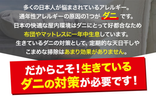 ダニ 対策 ダニ取り パック ブラックホール 10個 石崎資材株式会社《30日以内に出荷予定(土日祝除く)》 大阪府 羽曳野市 虫 捕集 ダニ シート 特許 ダニ対策 押し入れ カーペット ベッド