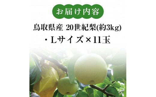 ＜8月下旬～9月下旬発送予定＞＜Lサイズ×11玉＞鳥取県産 20世紀梨(約3kg)【sm-BP005】【フジキコーポレーション】