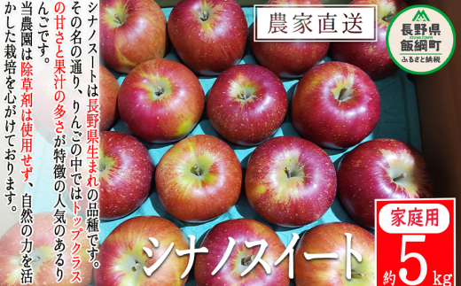 りんご シナノスイート 家庭用 5kg 松澤農園 沖縄県への配送不可 2024年10月下旬頃から2024年11月上旬頃まで順次発送予定 令和6年度収穫分 長野県 飯綱町 [0499]