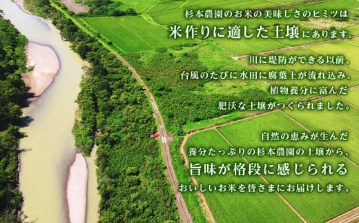 【新米発送・定期便 10カ月】ゆめぴりか 玄米 5kg 《杉本農園》