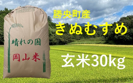 「きぬむすめ玄米30kg」