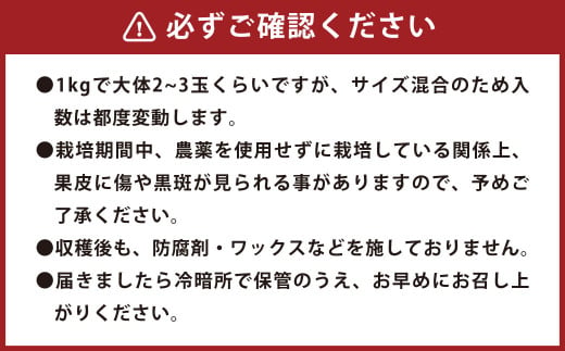 環境マイスターのパール柑 良品・訳あり混合 4kg