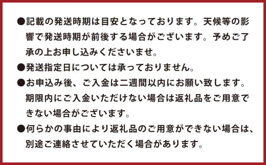 環境マイスターのパール柑 良品・訳あり混合 4kg