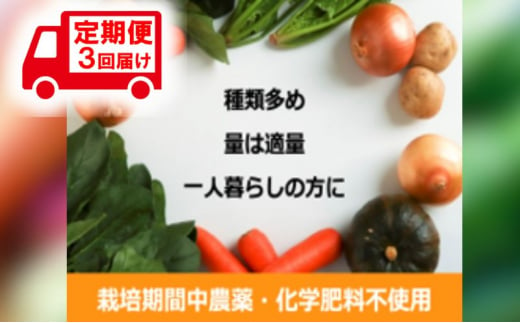 野菜 定期便 3ヶ月 1名様向け 野菜5種 セット 旬の野菜 生野菜 やさい 新鮮 鮮度 産地直送 詰め合わせ 冷蔵 千葉 定期 お楽しみ 3回[№5346-0892]