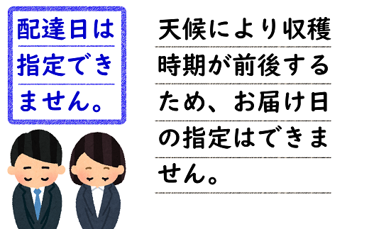 【令和6年産先行予約】 さくらんぼ ｢佐藤錦｣ 約1kg (秀 L以上) バラ詰め 《令和6年6月中旬～発送》 『田口農園』  サクランボ 果物 フルーツ 産地直送 生産農家直送 山形県 南陽市 [1129]