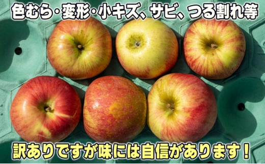 [№5554-0179]2月発送【糖度保証】家庭用 葉取らず サンふじ 約5kg【訳あり】【鶴翔りんごGAP部会 青森県産 津軽産 リンゴ 林檎】