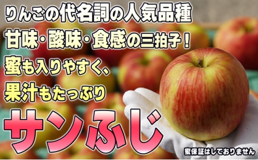 [№5554-0179]2月発送【糖度保証】家庭用 葉取らず サンふじ 約5kg【訳あり】【鶴翔りんごGAP部会 青森県産 津軽産 リンゴ 林檎】