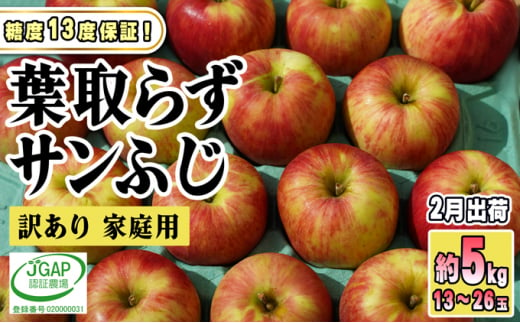 [№5554-0179]2月発送【糖度保証】家庭用 葉取らず サンふじ 約5kg【訳あり】【鶴翔りんごGAP部会 青森県産 津軽産 リンゴ 林檎】