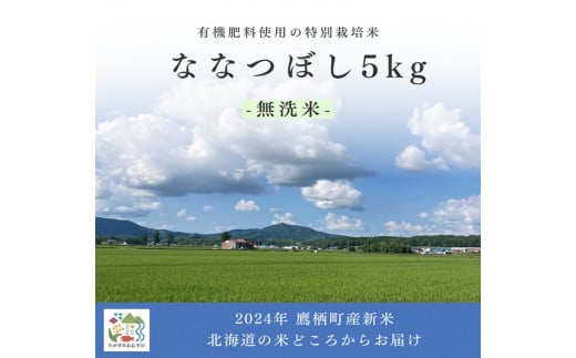 A262【令和６年産】ななつぼし（無洗米）特Aランク 5kg 北海道 鷹栖町 たかすのおむすび 米 コメ ご飯 無洗米 お米 ななつぼし