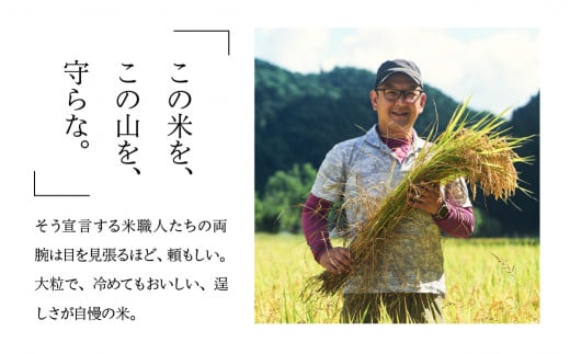 令和6年産米【定期便】山仙（いのちの壱）【2kg×3袋（6kg）×3回】 すがたらいす 下呂市金山産 2024年産 毎月 6キロ×3カ月 お米 精米 下呂温泉 下呂市 米 ブランド米