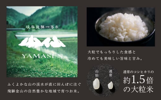 令和6年産米【定期便】山仙（いのちの壱）【2kg×3袋（6kg）×3回】 すがたらいす 下呂市金山産 2024年産 毎月 6キロ×3カ月 お米 精米 下呂温泉 下呂市 米 ブランド米