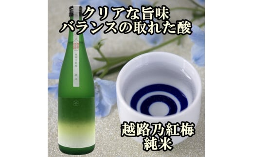 新潟純米酒 720ml 2本セット 越路乃紅梅・かたふね 日本酒 お酒 飲み比べ 越路乃紅梅 かたふね  ふるさと納税 人気 新潟 新潟県産 にいがた 上越 上越産