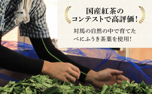 【全12回定期便】対馬 紅茶 リーフ 30g×6個 《対馬市》【つしま大石農園】和紅茶 国産 茶葉 [WBE007]