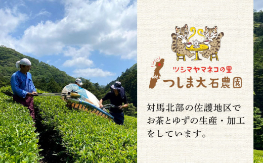 【全12回定期便】対馬 紅茶 リーフ 30g×6個 《対馬市》【つしま大石農園】和紅茶 国産 茶葉 [WBE007]