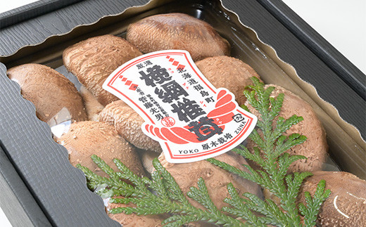 【数量限定】《先行予約》福島町特産・特選「横綱椎茸」500g ふるさと納税 人気 おすすめ ランキング きのこ キノコ しいたけ シイタケ 椎茸 特産 特選 原木栽培 横綱 食品 食材 料理 贈答 贈り物 ギフト プレゼント 北海道 福島町 送料無料 FKG001