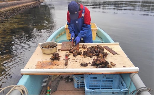 【ふるさと納税】天橋立 天然殻付きマガキ 2kg（約20～25個）【加熱用】魚貝類 牡蠣 カキ 天然 産地直送 焼き 蒸し 真牡蠣 日本酒 [№5716-0339]