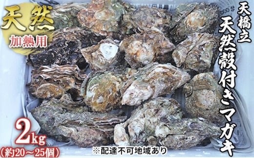 【ふるさと納税】天橋立 天然殻付きマガキ 2kg（約20～25個）【加熱用】魚貝類 牡蠣 カキ 天然 産地直送 焼き 蒸し 真牡蠣 日本酒 [№5716-0339]