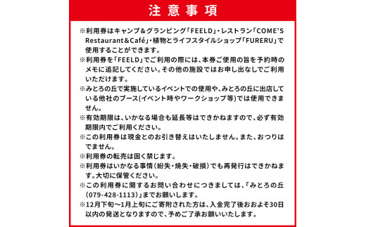 遊んで、食べて、泊まれる！「みとろの丘」ふるさと納税限定利用券(3000円×10枚)《 体験 自然 宿泊券 チケット クーポン 》【2412L14802】