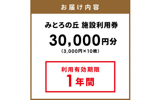 遊んで、食べて、泊まれる！「みとろの丘」ふるさと納税限定利用券(3000円×10枚)《 体験 自然 宿泊券 チケット クーポン 》【2412L14802】