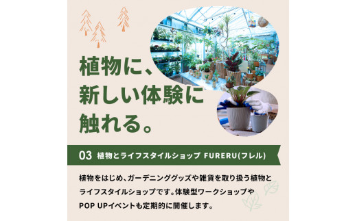 遊んで、食べて、泊まれる！「みとろの丘」ふるさと納税限定利用券(3000円×10枚)《 体験 自然 宿泊券 チケット クーポン 》【2412L14802】