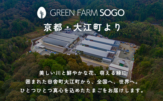 京都丹波産！府初の「農場HACCP認証」「JGAP認証」取得農場から!赤み卵黄「卵どすえ」24パック  ふるさと納税 卵 玉子 たまご 生卵 タマゴ 温泉卵 卵かけご飯 アレンジ T KG 卵料理 お菓子づくり 国産 新鮮 京都 福知山 京都府 福知山市 奥京都 ふるさと