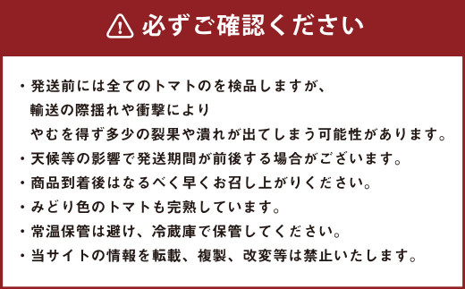 【先行予約】【2023年6月上旬より順次発送予定】カラフルミニトマト 約3.0kg トマト 高森町産