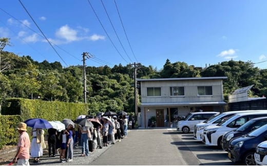 ベーグル 人気セット詰め合わせ 10個