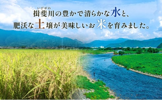 [№5568-0183]定期便 全12回 岐阜県 揖斐郡産 令和6年 味のいび米 はつしも 10kg 1袋 お米 精米 白米 米 ごはん 米 ご飯 ハツシモ あっさり ブランド米 10キロ 大粒 幻の米 お取り寄せ 自家用 贈答用 贈り物 産地直送 送料無料 いび川農業協同組合【 揖斐川町 】