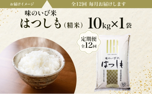 [№5568-0183]定期便 全12回 岐阜県 揖斐郡産 令和6年 味のいび米 はつしも 10kg 1袋 お米 精米 白米 米 ごはん 米 ご飯 ハツシモ あっさり ブランド米 10キロ 大粒 幻の米 お取り寄せ 自家用 贈答用 贈り物 産地直送 送料無料 いび川農業協同組合【 揖斐川町 】