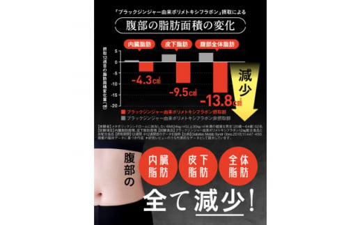 サプリメント 機能性表示食品 Slamee スラミー お腹の脂肪と皮下脂肪を減らす 6袋(6ヶ月分)【1495308】