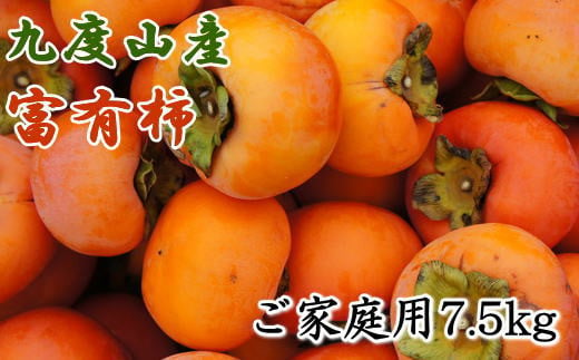 ≪柿の名産地≫九度山の富有柿約7.5kgご家庭用＜2024年11月上旬～2024年12月上旬頃に順次発送＞ 【tec413A】