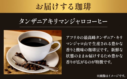 タンザニア キリマンジャロコーヒー 500g（挽）＆古墳ドリップバッグ 1袋 ミディアムロースト 株式会社ばいせん工房 珈琲倶楽部《30日以内に出荷予定(土日祝除く)》大阪府 羽曳野市 コーヒー 豆 コーヒー豆 アイスコーヒー キリマンジャロ