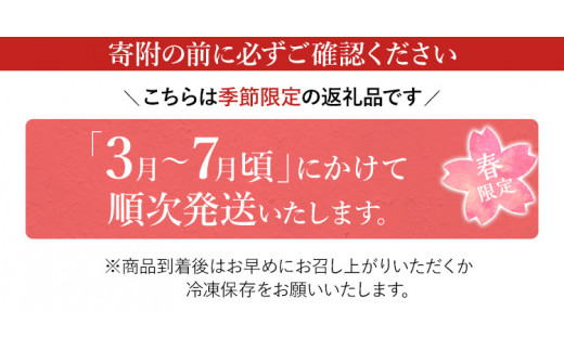 竹取すし物語 2本 合計12切入り (6切れ×2本) 寿司 すし 筍 たけのこ タケノコ 穴子 あなご アナゴ 冷凍 季節限定 福岡 九州 国産 グルメ 惣菜 送料無料