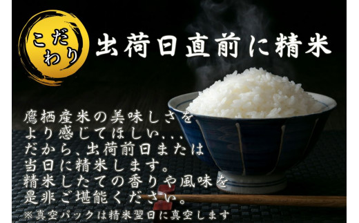 A228 　【 令和6年産 】 ゆめぴりか ななつぼし 食べ比べセット （ 精 白米 ） 特Aランク 北海道 米 を代表する人気の2品種 各10㎏ 北海道 鷹栖町 たかすのお米 米 コメ こめ ご飯 白米 お米 ゆめぴりか ななつぼし コメ 白米