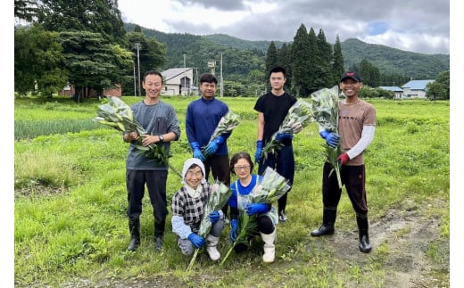 農園スタッフの皆さん。豊かな自然環境の中でユリを育てています。