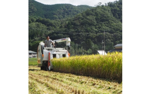 [令和5年度産]高齢者の田んぼを受け継ぐ若手後継者「塚原さんのキヌヒカリ」精米9kg【1261853】