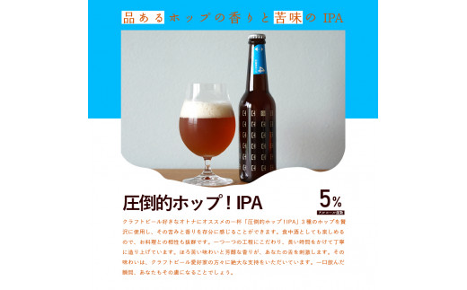 【11月下旬より発送】定期便 3ヶ月 ことことビール 6本 セット クラフトビール  瓶ビール 地ビール 飲み比べ 種類 アウトドア 京都府 木津川市 ビール IPA スタウト クラフトビール ヴァイツェン ピルスナー 黒ビール 白ビール マイクロブルワリー きめ細やか 酒蔵 ビールセット 贈り物 ギフト こだわり 3回定期便 3回