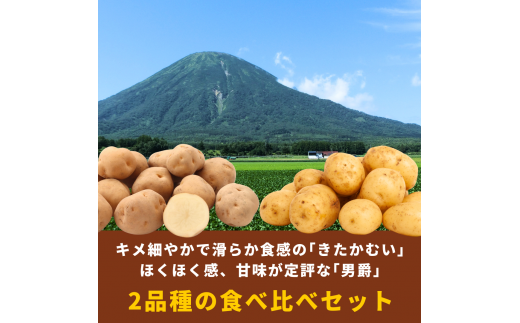 2025年1月発送！ 北海道羊蹄山麓 じゃがいも10kg 食べ比べ(男爵5kg・きたかむい5kg)［JAようてい］【 野菜 ジャガイモ 食べ比べ キタカムイ だんしゃく 料理 セット 詰合せ 】