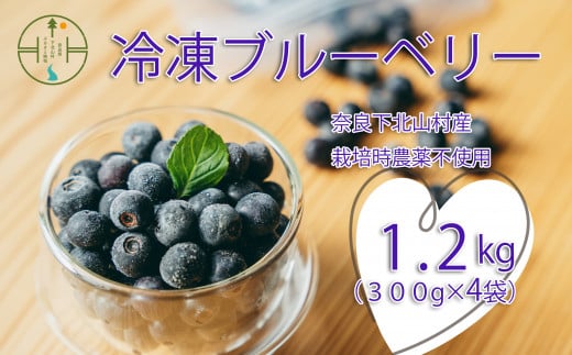 先行受付 2025年7月～発送 栽培期間中農薬不使用 としちゃんのブルーベリー 300gx4 手摘み 下北山村産