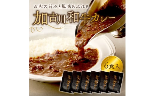 加古川和牛カレー(6食入)《 おすすめ カレー 人気 和牛カレー カレーメシ レトルト おいしい お取り寄せ ギフト 一人暮らし 簡単調理 仕送り 時短 送料無料 》【2401I00302】