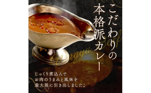 加古川和牛カレー(6食入)《 おすすめ カレー 人気 和牛カレー カレーメシ レトルト おいしい お取り寄せ ギフト 一人暮らし 簡単調理 仕送り 時短 送料無料 》【2401I00302】