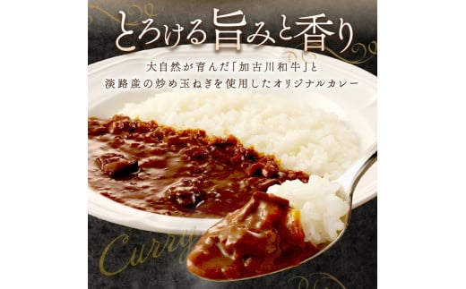 加古川和牛カレー(6食入)《 おすすめ カレー 人気 和牛カレー カレーメシ レトルト おいしい お取り寄せ ギフト 一人暮らし 簡単調理 仕送り 時短 送料無料 》【2401I00302】